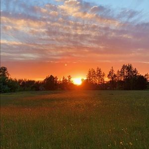 Meet your Posher, Annika